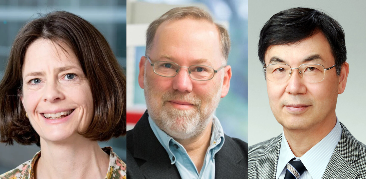 Ecco a chi è andato il premio Nobel per la Medicina quest'anno