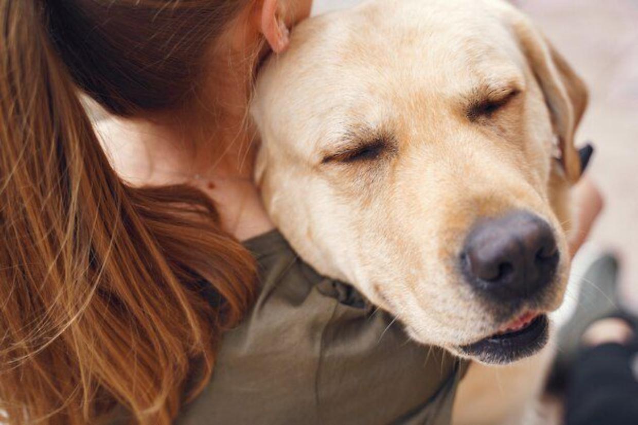 Torino, un passo avanti per l’ultimo saluto: verso la tumulazione congiunta con gli animali d’affezione