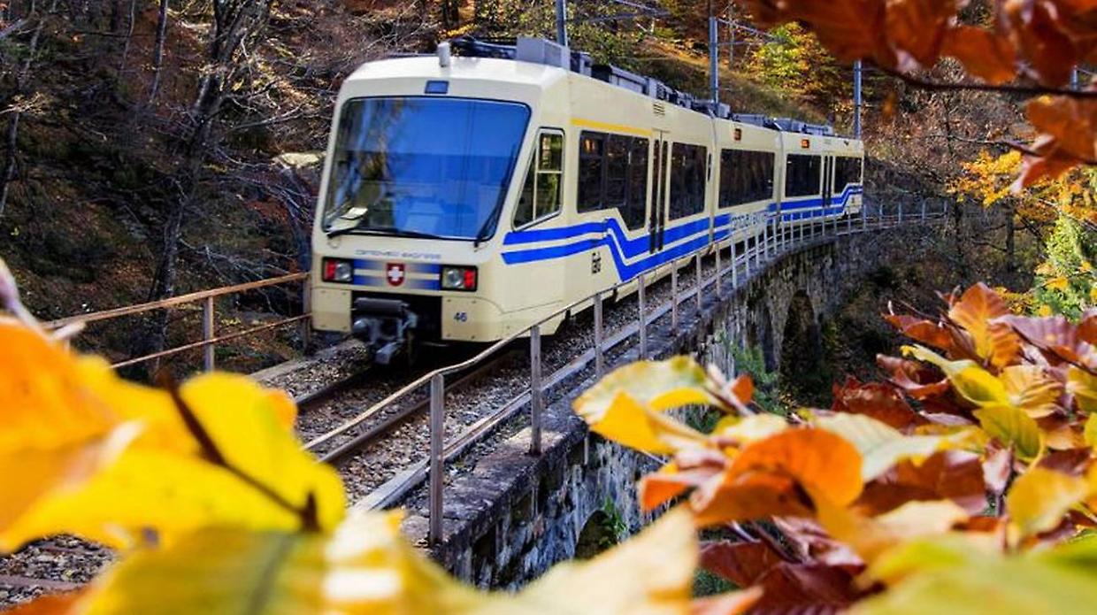 Il New York Times celebra il Treno del Foliage: la Ferrovia Vigezzina Centovalli tra i 5 viaggi autunnali imperdibili in Europa