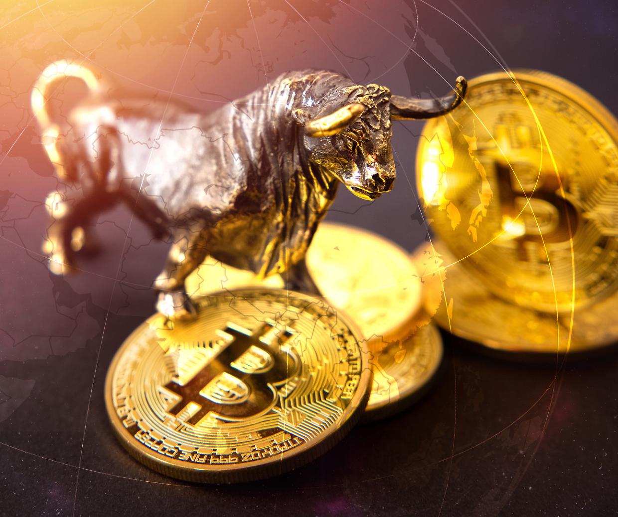 Bitcoin, è una Bull Run! E c'è chi ha perso 161 milioni... Che cosa significa e cosa succederà