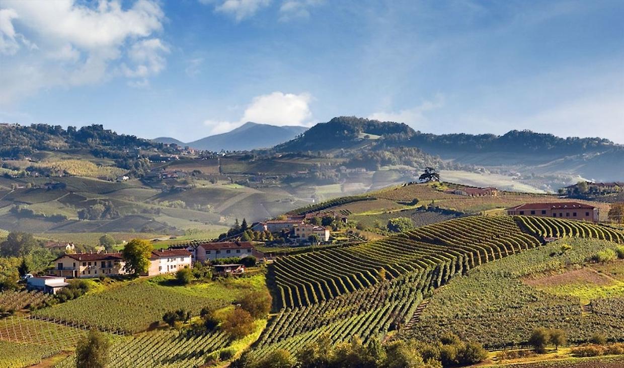Viaggio nel cuore dei vigneti piemontesi: 5 zone da non perdere