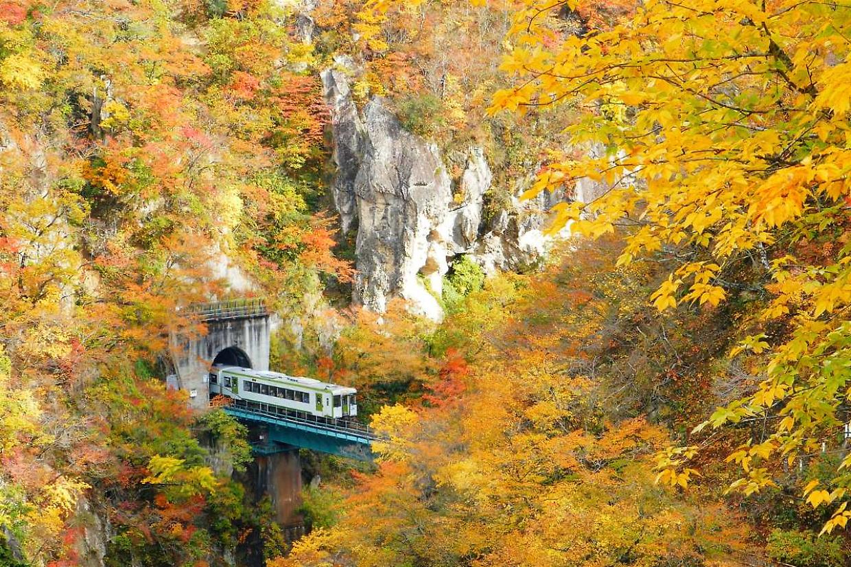 Autunno in carrozza: tutti i treni del foliage che fanno innamorare il Piemonte