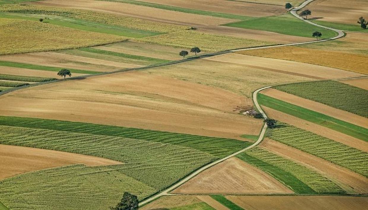 Droni nei campi, arriva il via di Coldiretti
