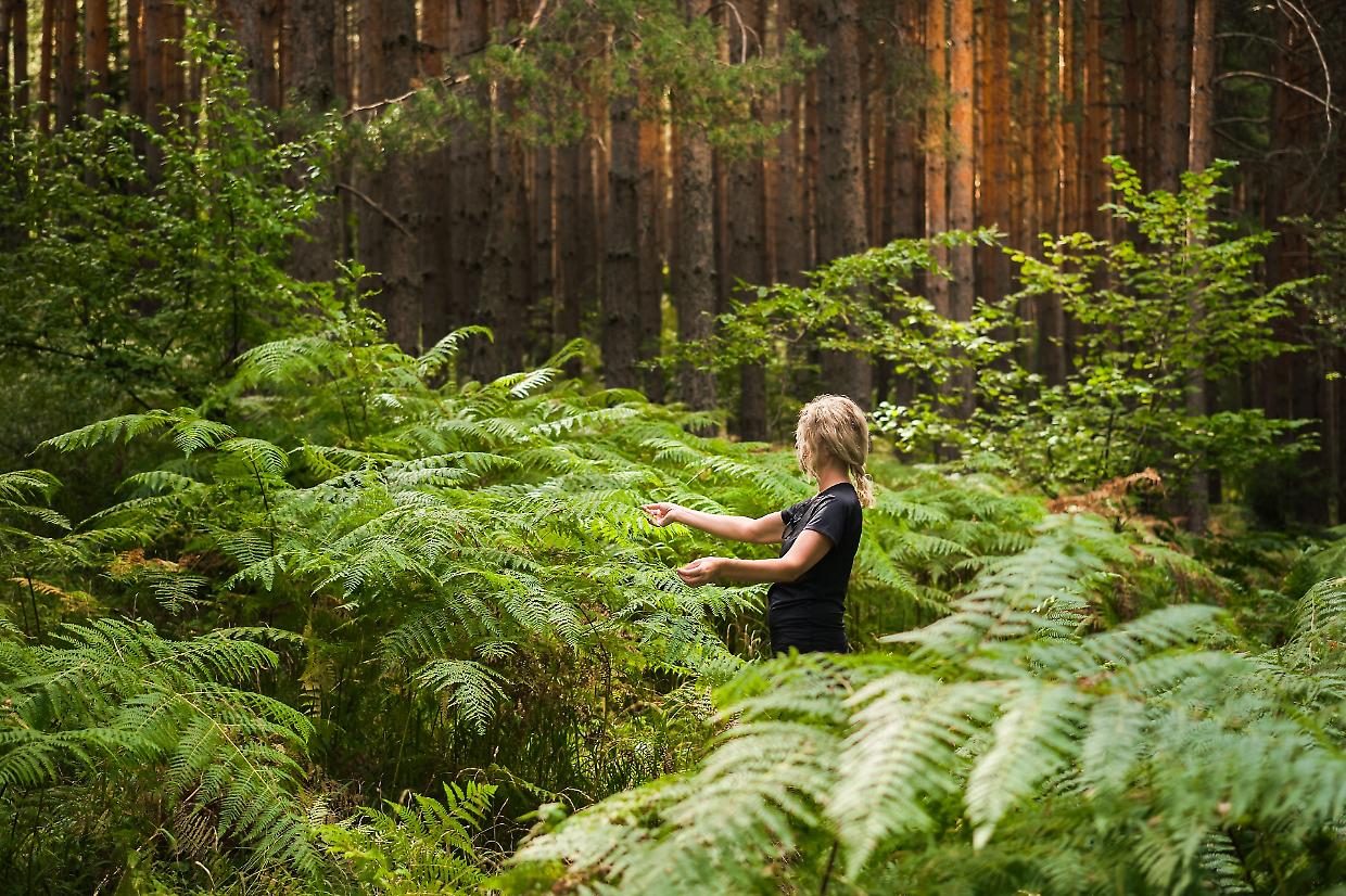 Il Mombarone tra natura e terapia: l'area si qualifica per l'immersione forestale