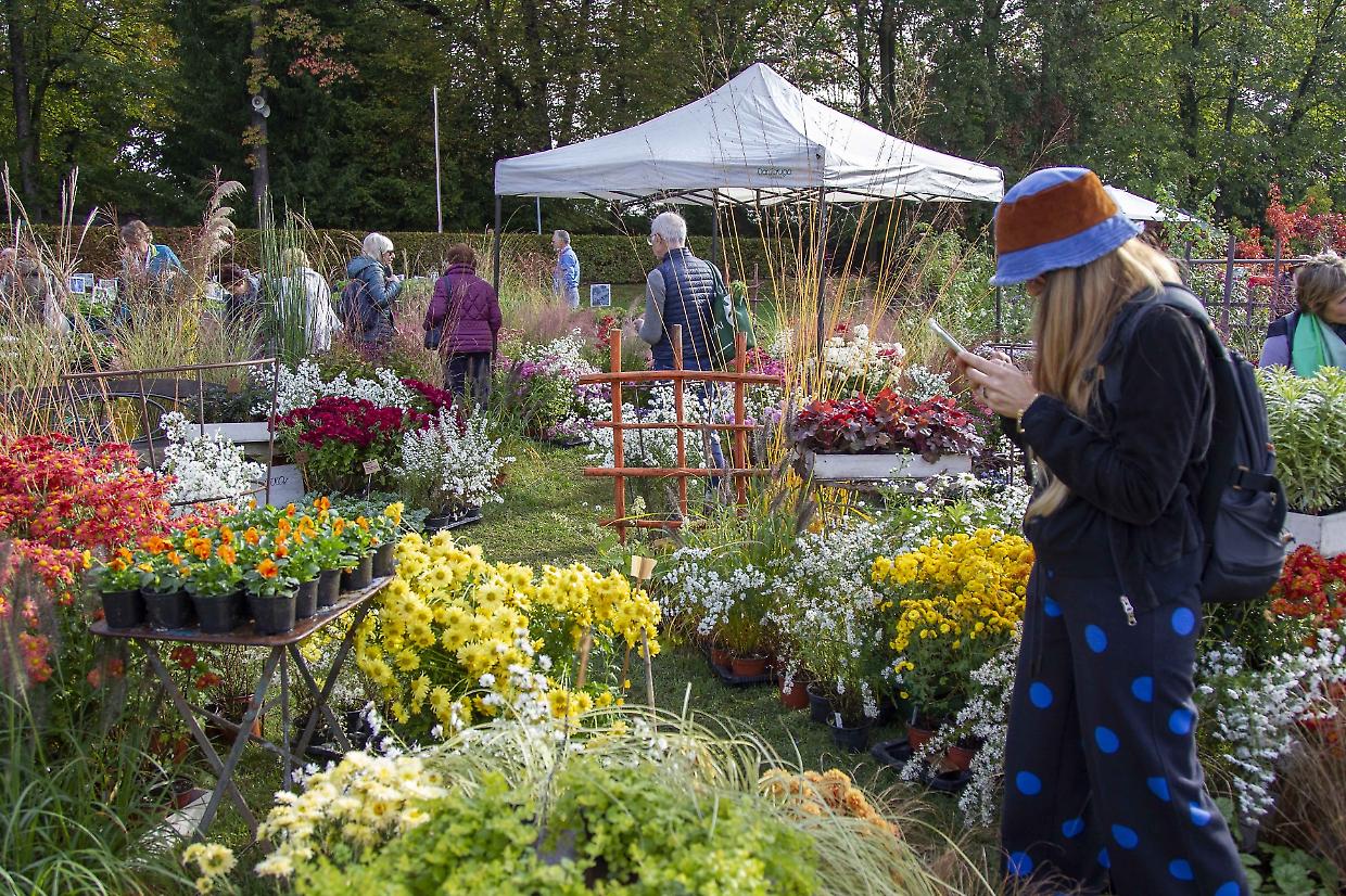 Torna la “Tre Giorni per il Giardino” al Castello di Masino: 