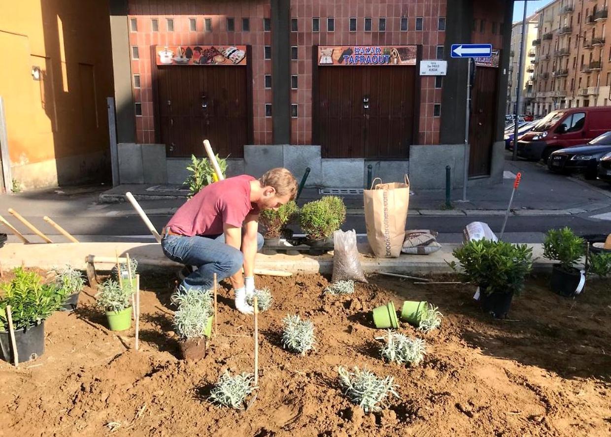 Aurora e Vanchiglietta, cittadini e associazioni in campo per la cura del verde urbano