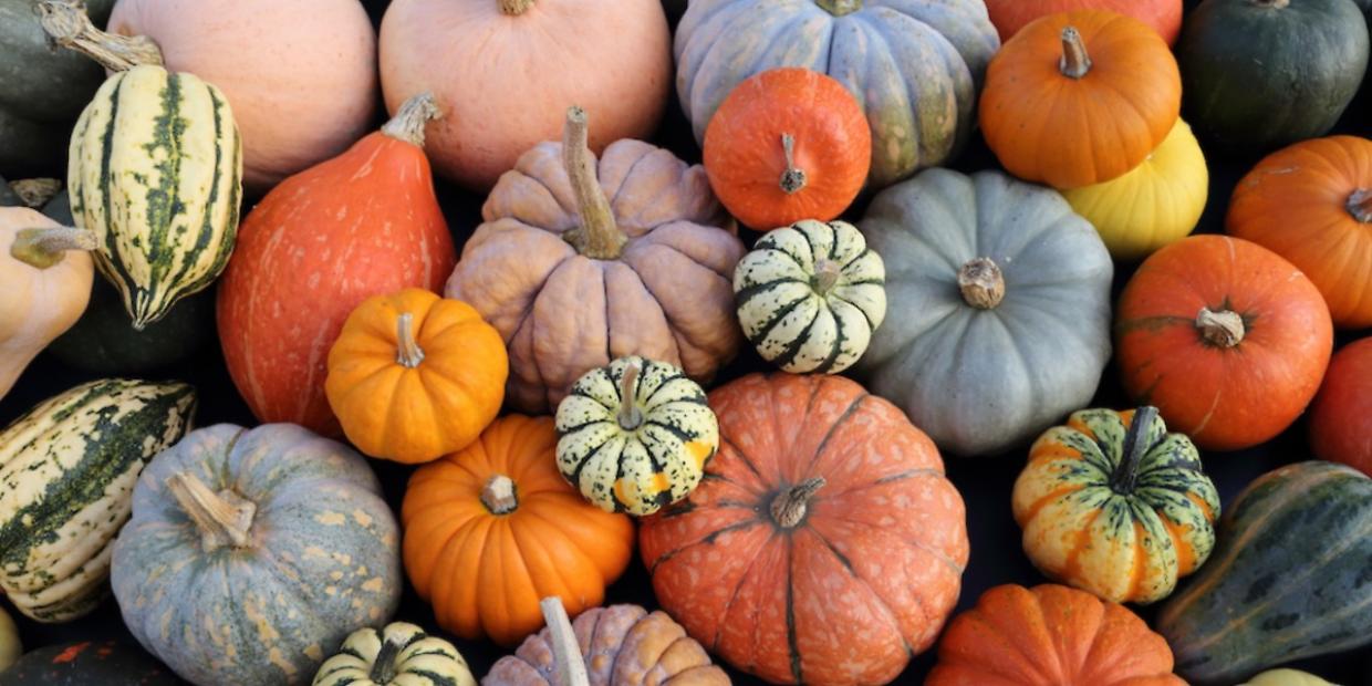 Brandizzo celebra l'autunno, arriva la 28ª Sagra della Zucca