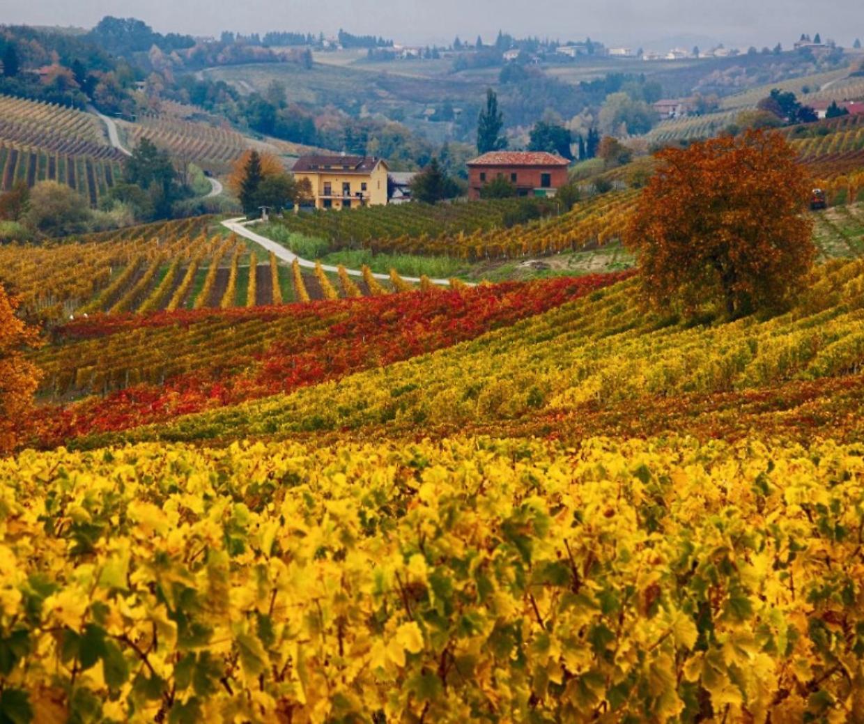Autunno in Piemonte: dieci mete di stagione da non perdere