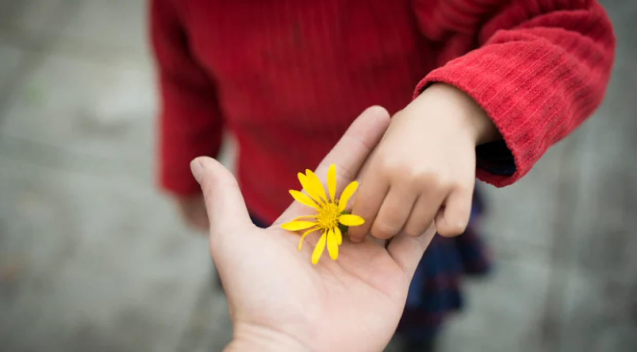 La scuola "per genitori" (e non solo): nasce Faro Futuro. Ecco di cosa si tratta