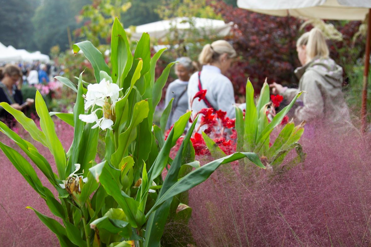 Tre giorni per il giardino