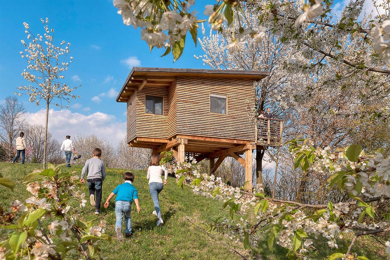 Il Piemonte lancia il Bando Biodiversità: 8 milioni per salvare specie, parchi e aree verdi fino a dicembre 2025