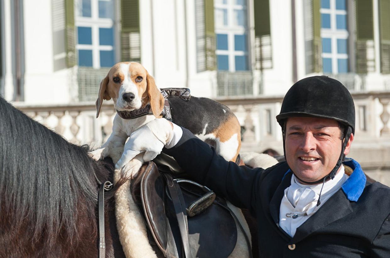 Stupinigi torna nell'Ottocento, e tornano le antiche tradizioni della caccia