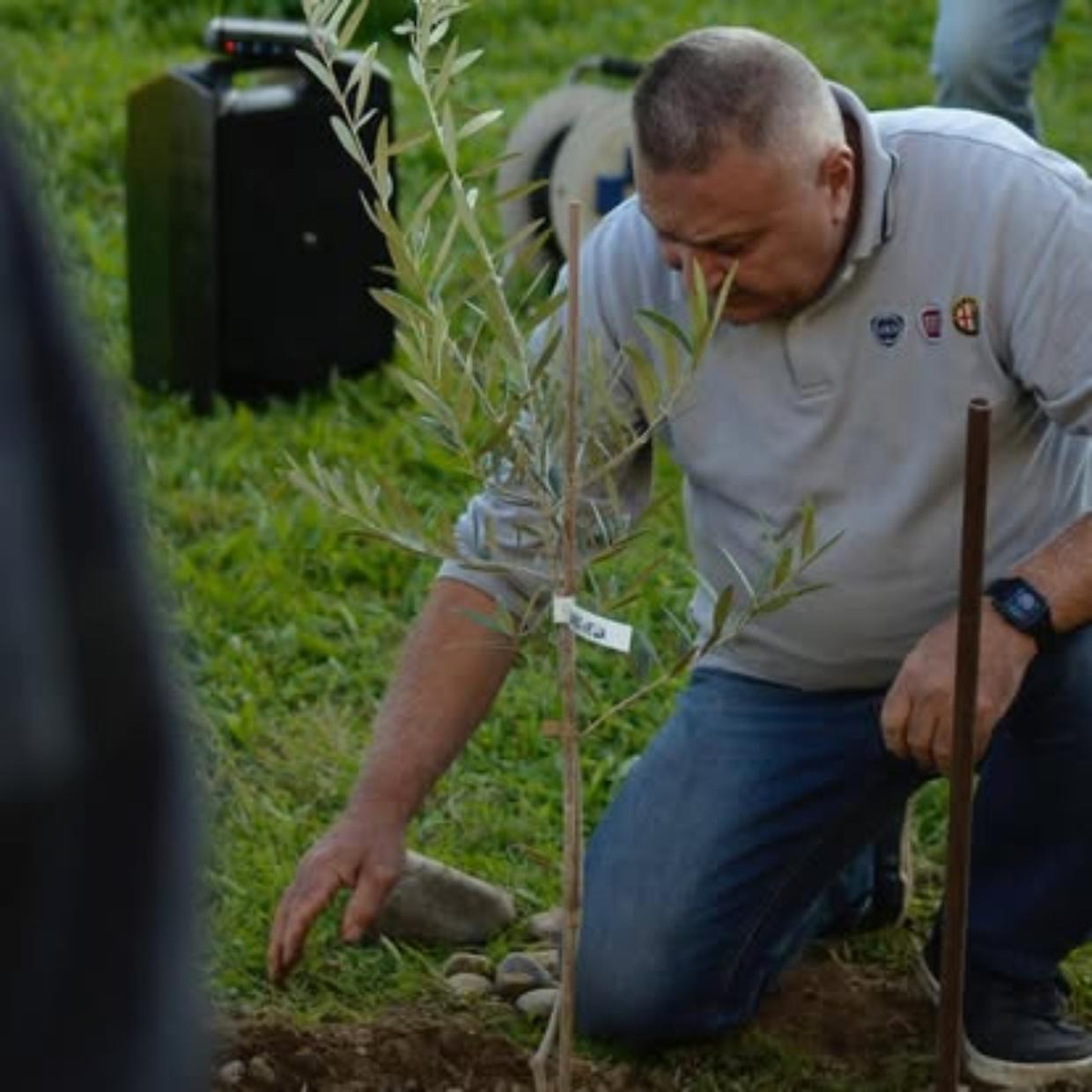 Chivasso, un ulivo per la memoria collettiva del Borgo Sud Est