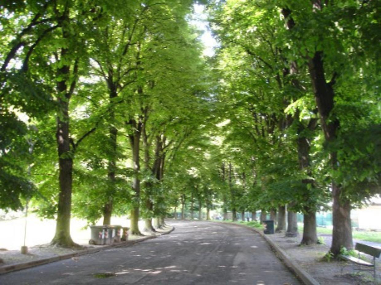 Compensazioni ambientali, il Politecnico crea uno strumento per gli amministratori locali