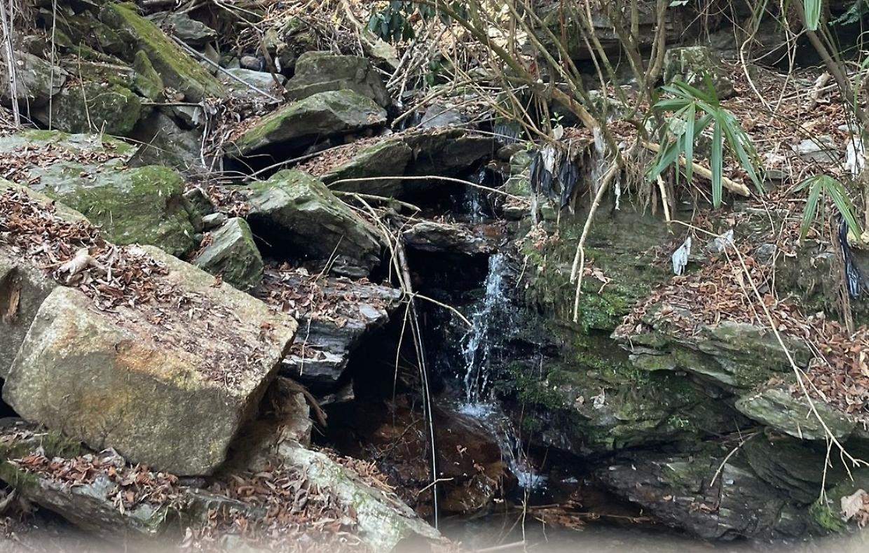 Baveno: partono i lavori sul Rio Ronco Pariano per proteggere la città da alluvioni e valorizzare il territorio