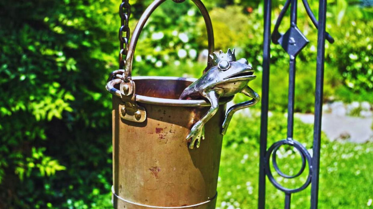 A Torino c'è il Principe Ranocchio ma molti non lo sanno