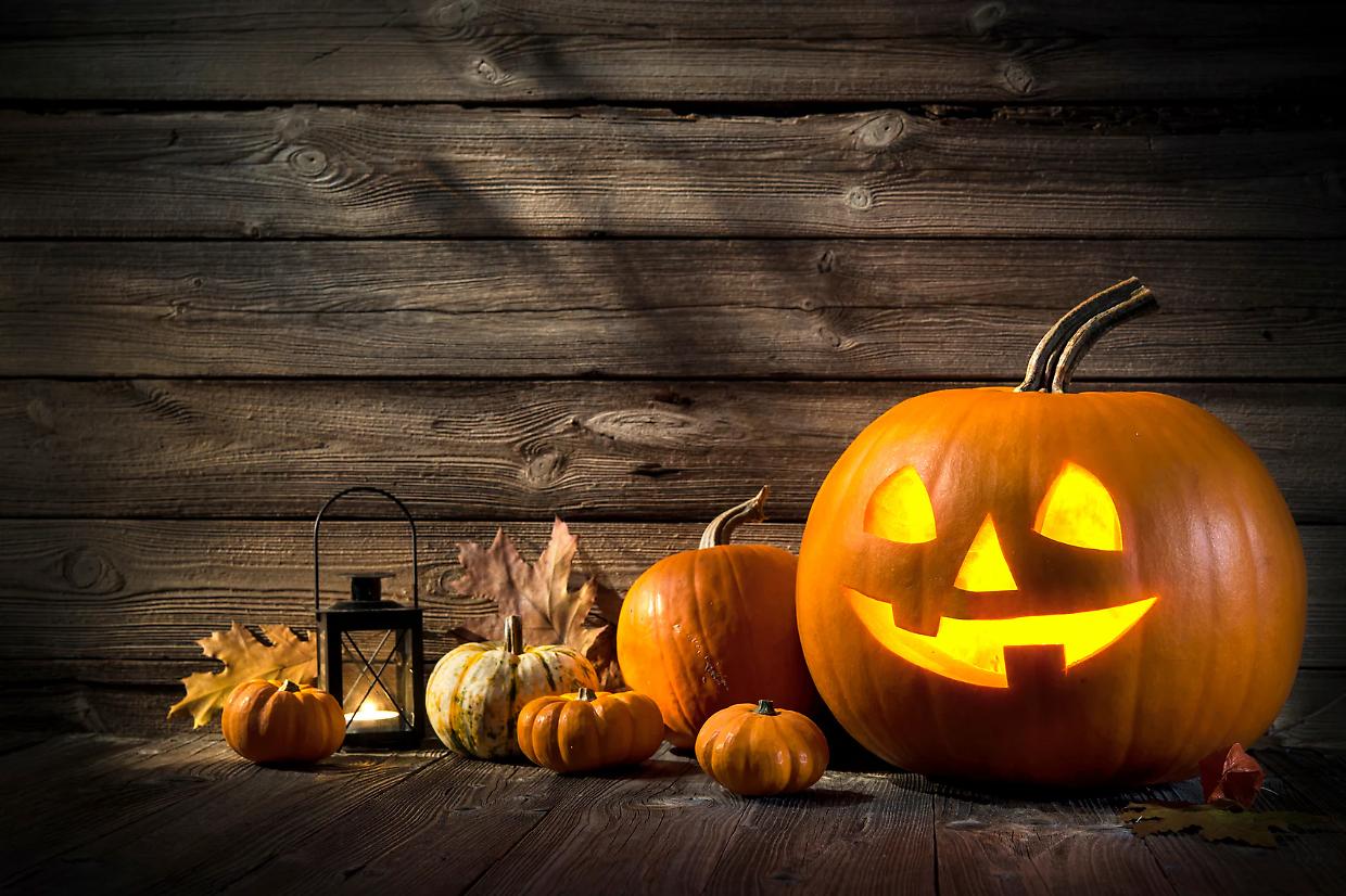 Halloween 2025 nei parchi divertimento: ecco i più belli per le famiglie
