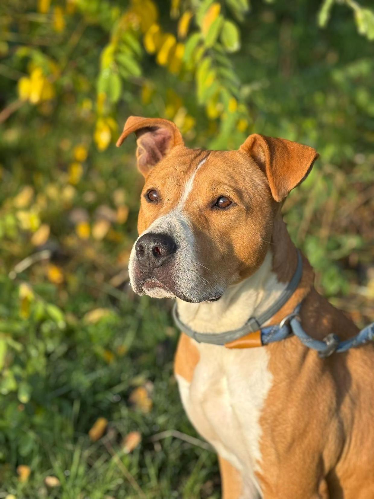 Connor, un cuore grande dietro le sbarre