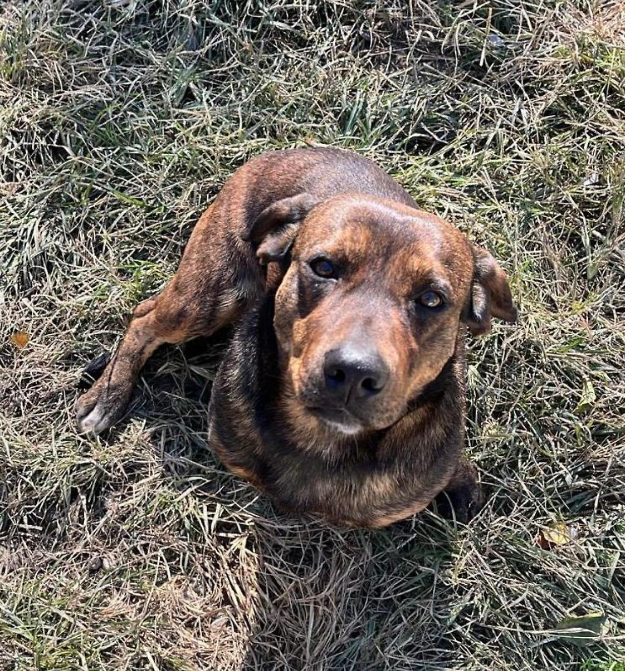 Jack, sempre all'avventura e tanto affetto da condividere