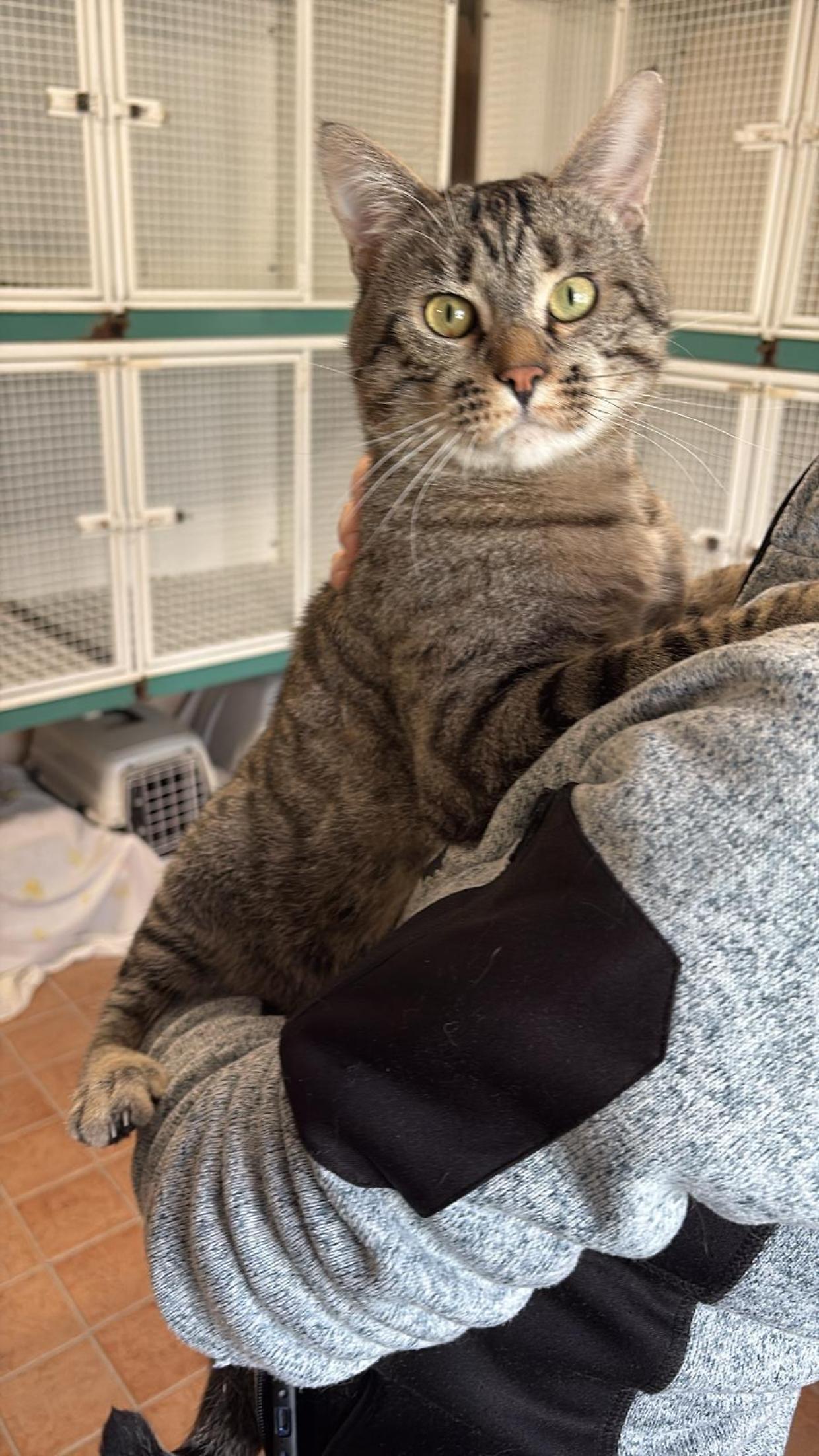 Pimpi, un concentrato di affetto e allegria