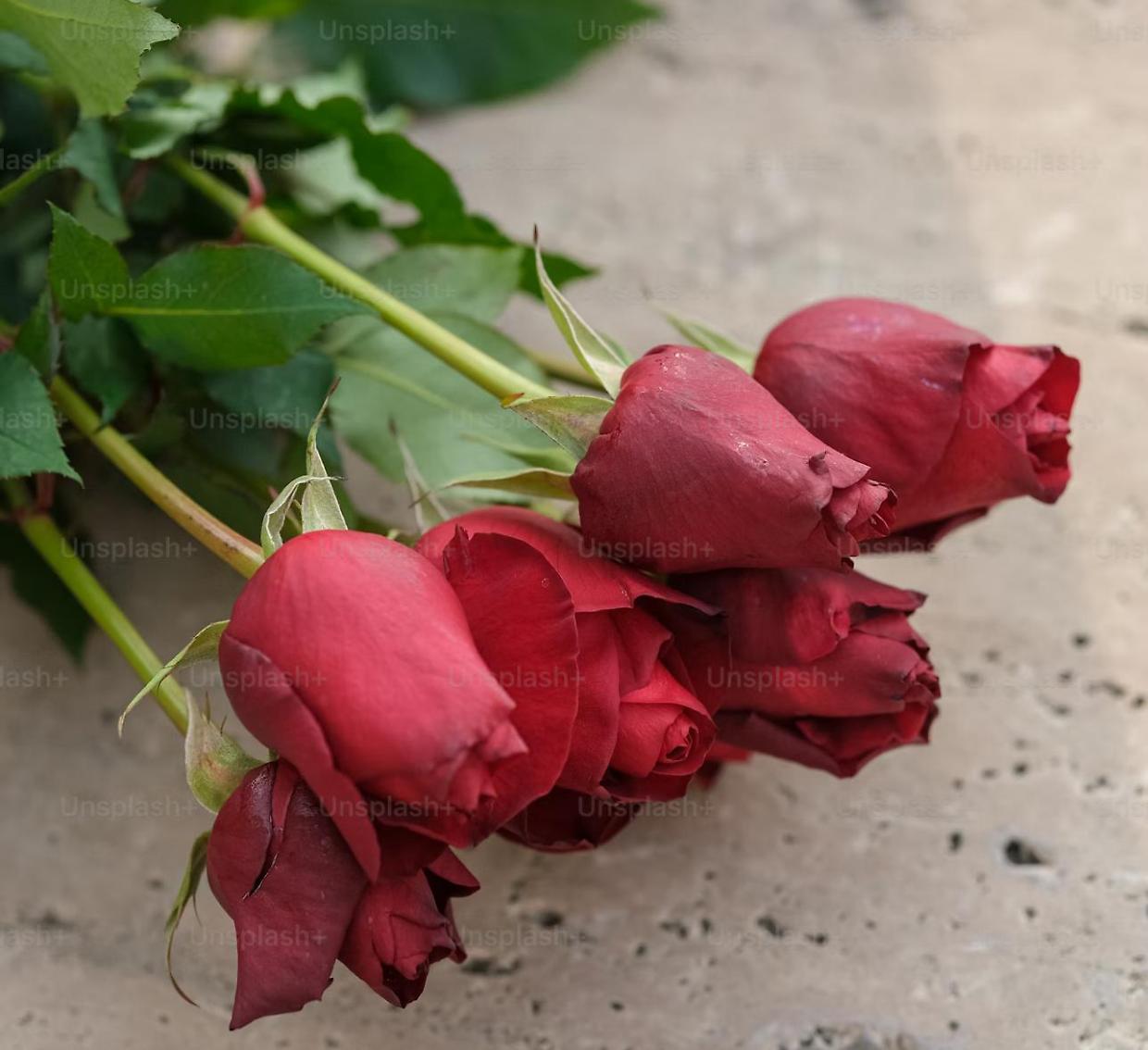Un venditore di rose pestato in strada: tre condanne