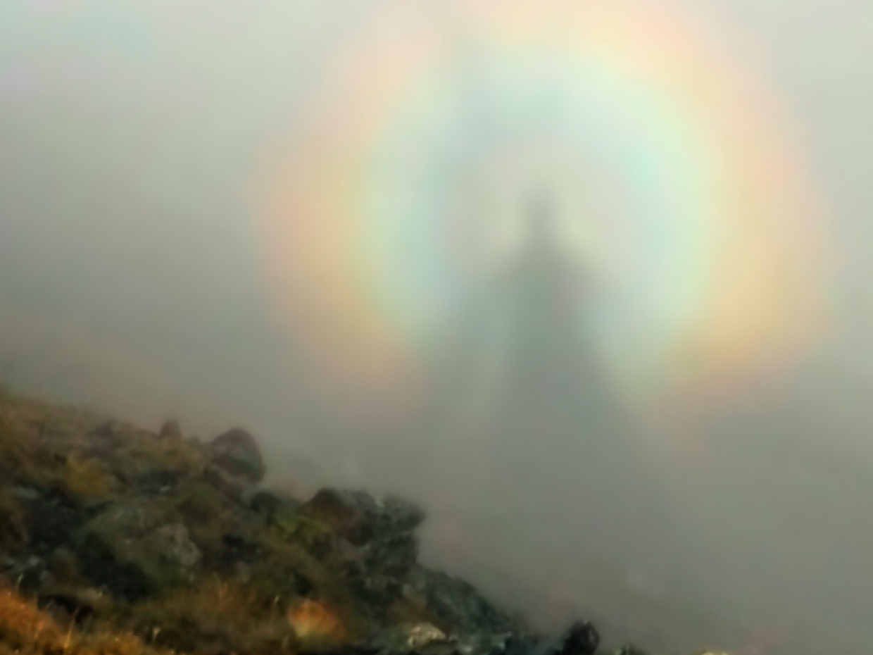 Raro spettacolo sulle Alpi: appare lo Spettro di Brocken al Mont Paillasse