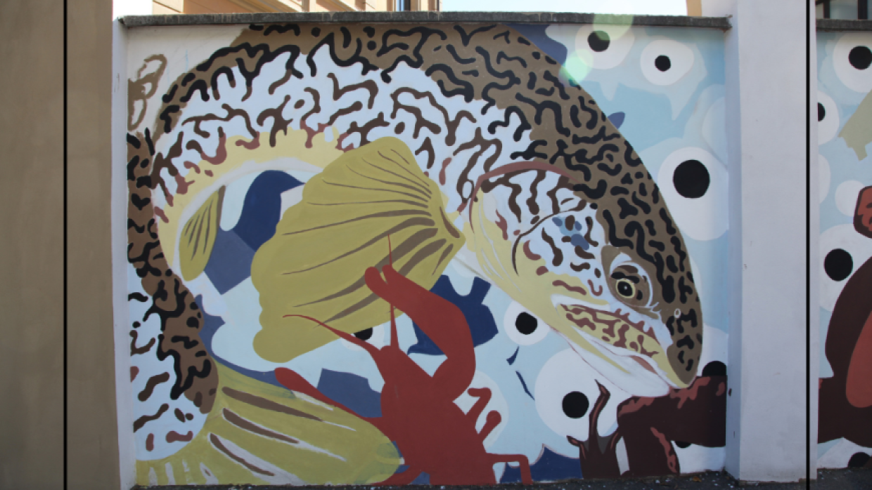 Torino, inaugurazione del progetto “Salute 6 Arte”