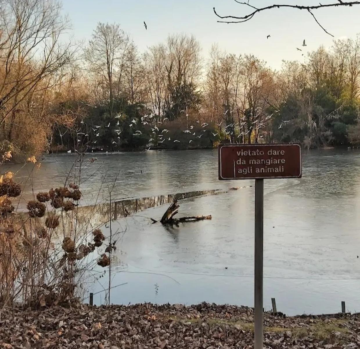 Settimo Torinese, donna di 78 anni salvata nel laghetto del parco Oasi della Speranza