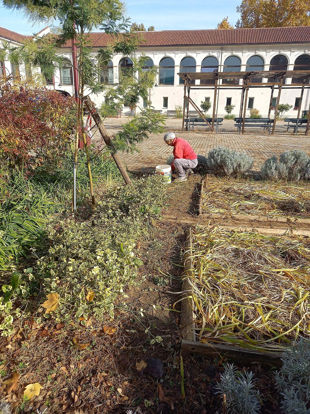 Torino, volontari in azione per la manutenzione del verde alla Cascina Giaione