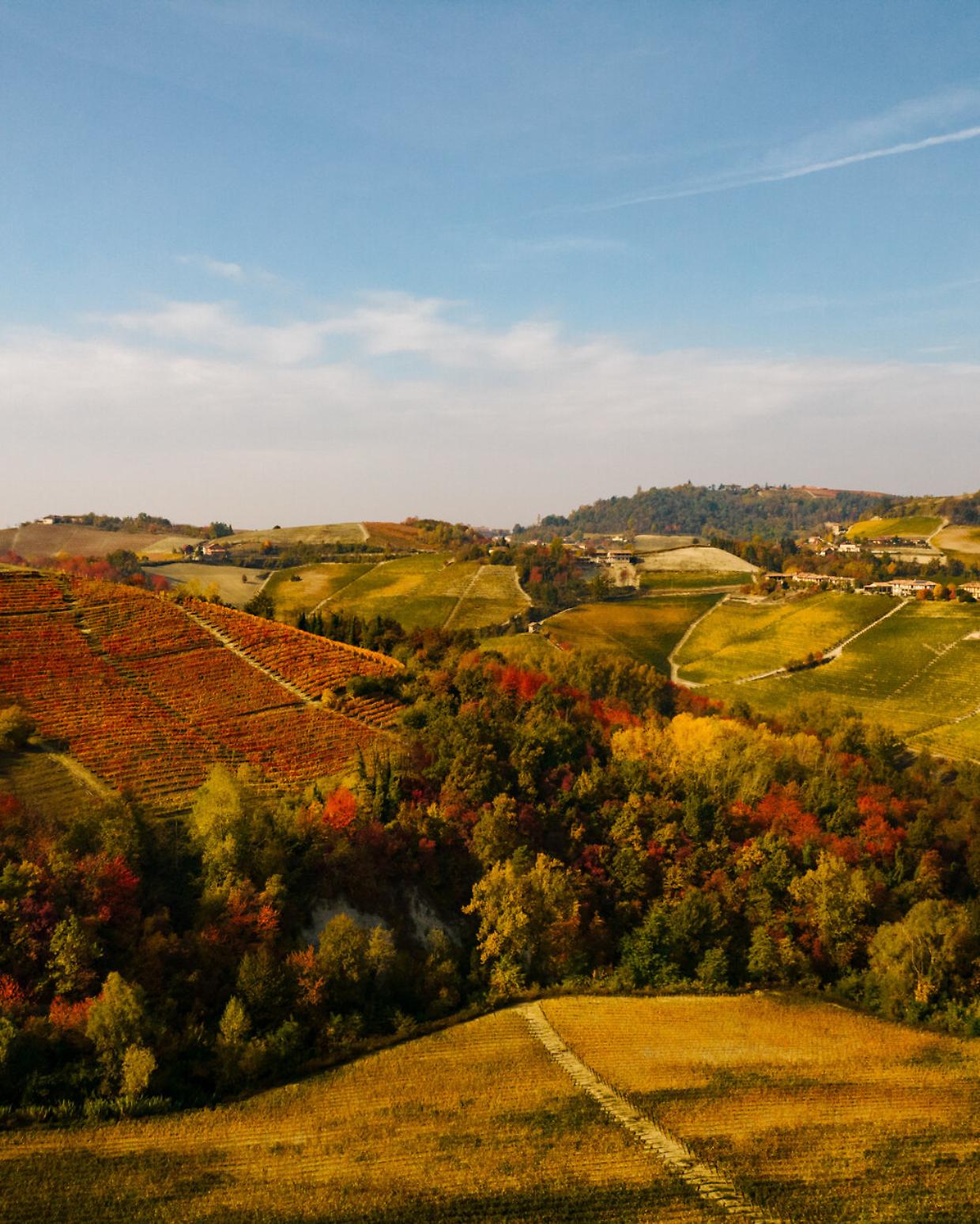 Scopri la passeggiata autunnale più silenziosa e suggestiva del Piemonte