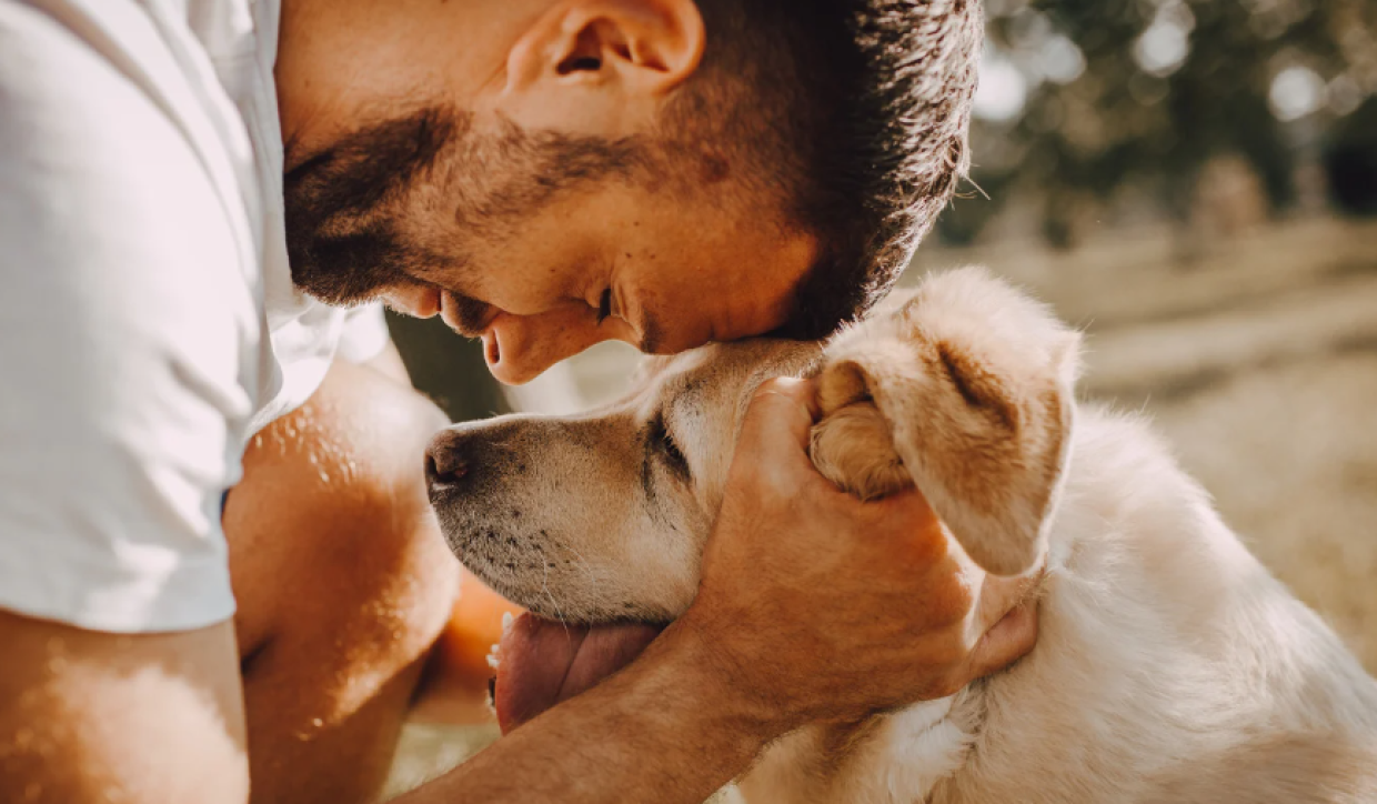 Torino da record: è la città con più cani d’Italia