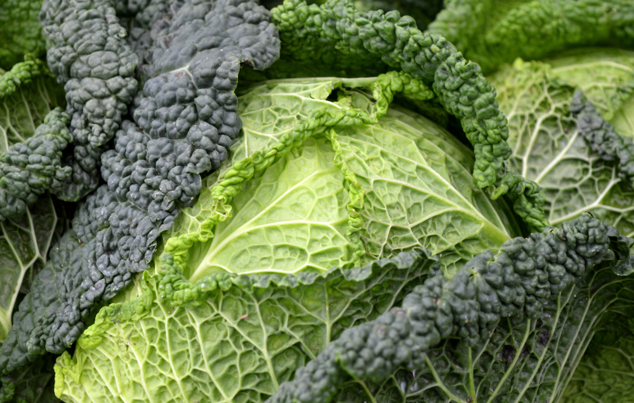 Cavolo nero, il superfood d’inverno che rinforza le difese e protegge le ossa: ecco come inserirlo nella tua dieta