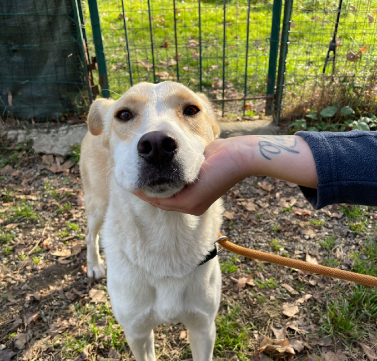 Dalla Sicilia a Torino... per vivere in un box. La storia di Bianchina