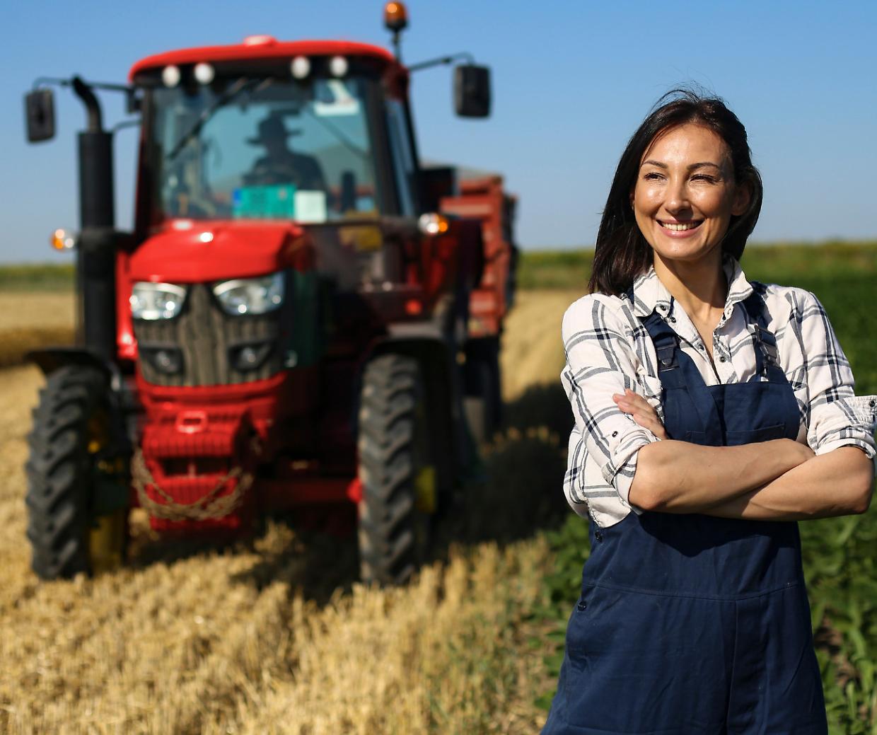 piemonte, campi tra luci e ombre: aziende in calo, mais e vino ripartono