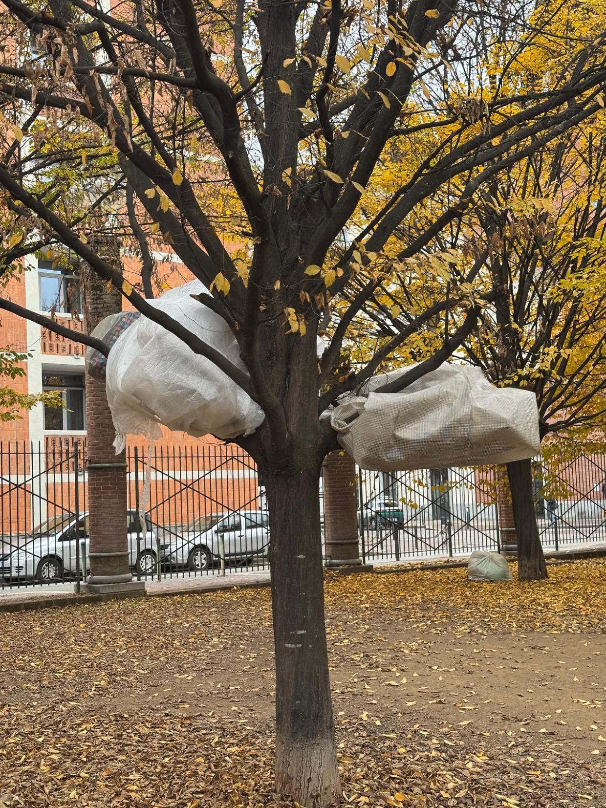 Coperte sugli alberi e rifugi improvvisati: il centro di Torino a due velocità