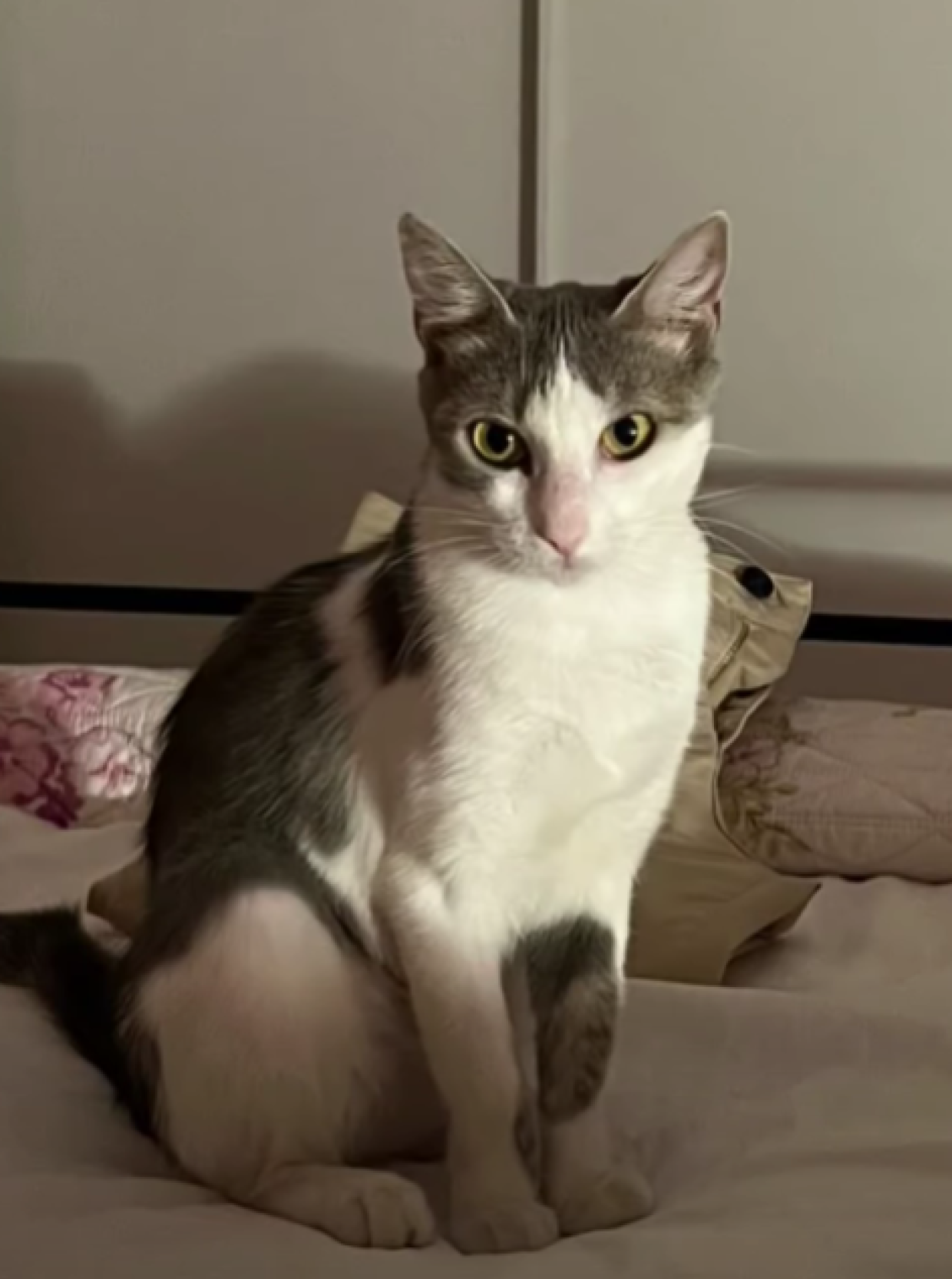 Micol, una micetta dal carattere unico