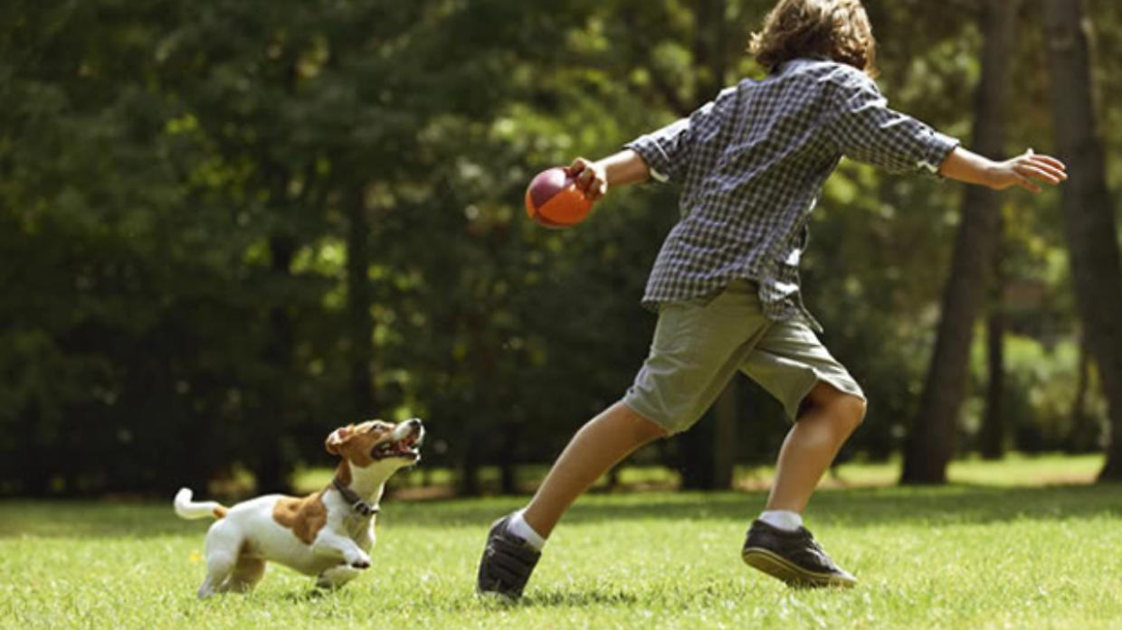 Torino, un albero per i cani che non ci sono pi&ugrave;: il faggio che unisce ricordi e persone