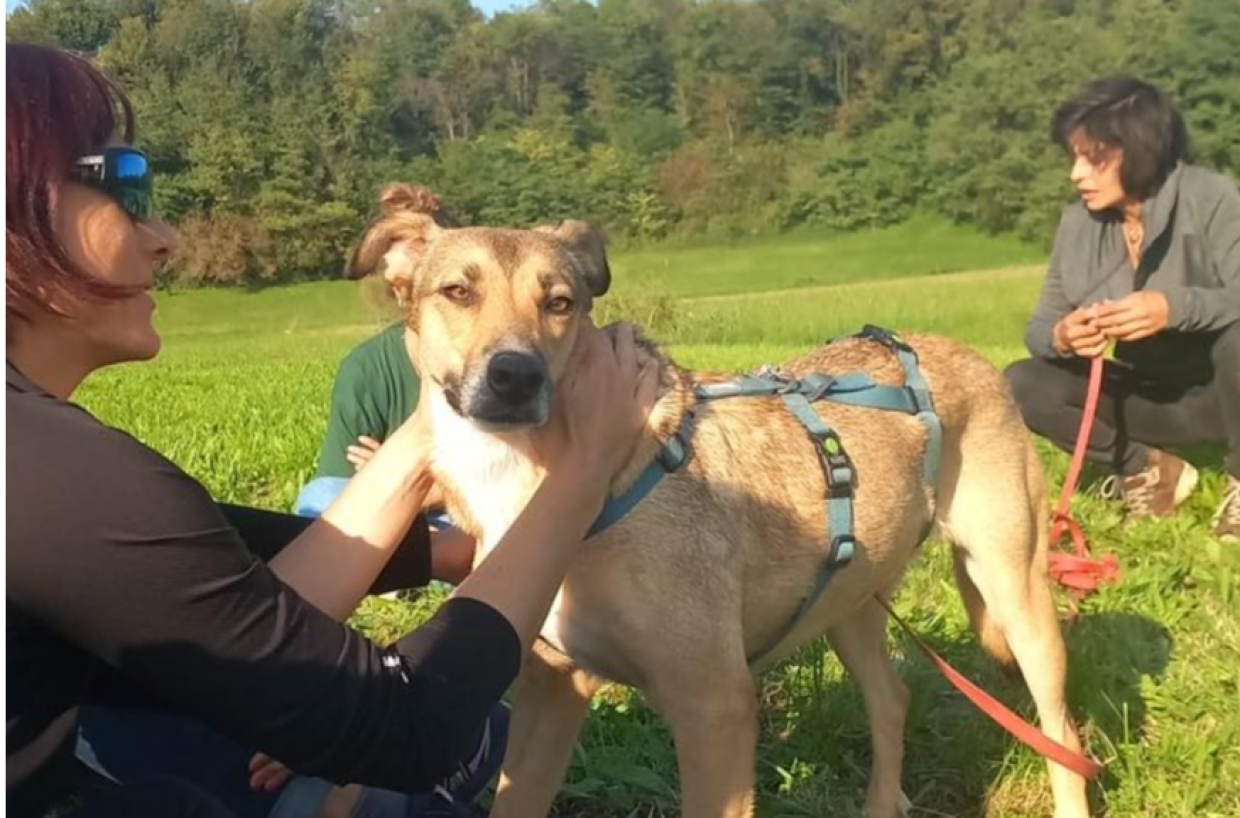 Salvata dalla strada: la storia di Venere