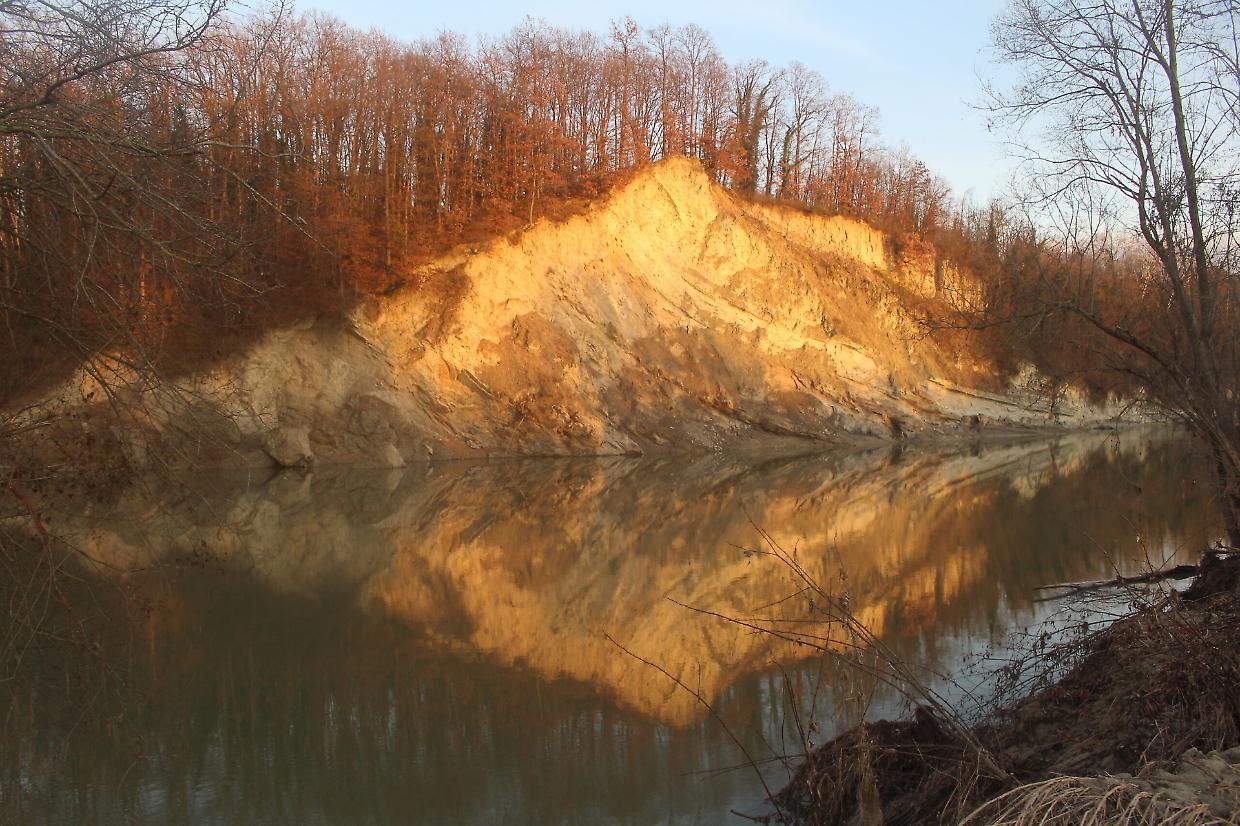 Cherasco acquisisce il Bosco Rocca dei Campioni: un tesoro naturale tutelato dalla comunità
