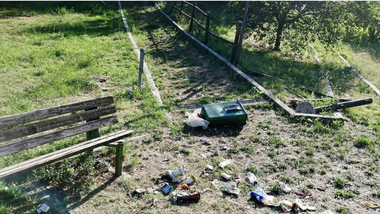 Cocci di vetro e sporcizia nel parco del Lungo Po Abellonio