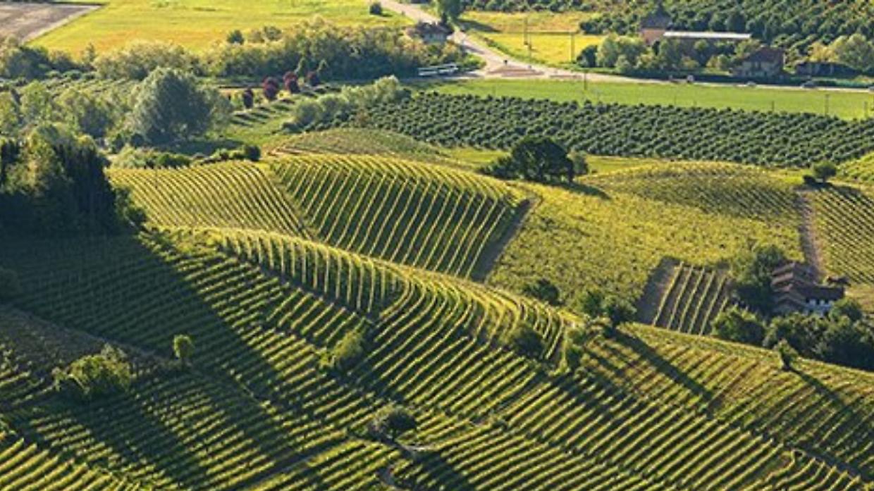 Roero che accoglie: l&rsquo;Enoteca Regionale apre un 2026 di rete