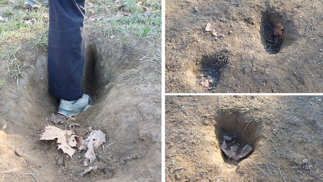 Voragini nell'area cani della Pellerina: «Vere e proprie trappole per animali e padroni»