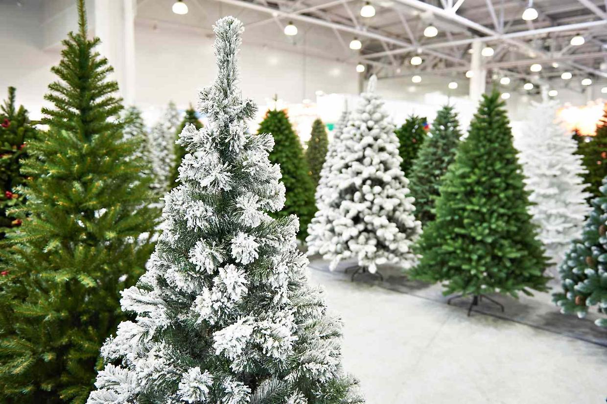 Albero di Natale: meglio vero o finto? La sfida “green” che divide l’Italia