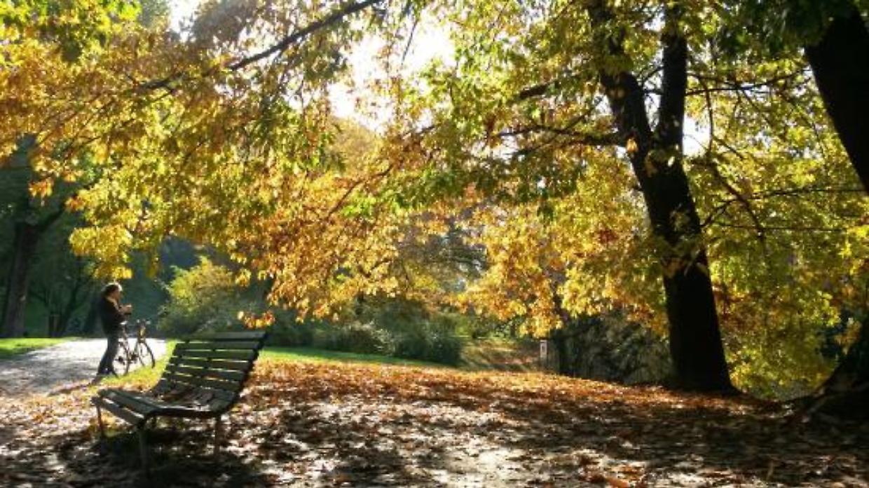 Trofarello, nuove panchine in via Togliatti: stop alle sedute instabili causate dalle radici