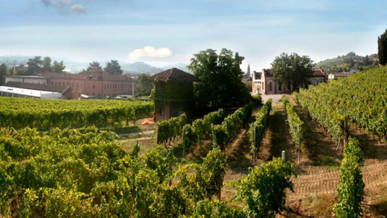 All’Enologica di Alba nuova Borsa di Studio per antichi mestieri: i due vincitori si aggiudicheranno 250 euro ciascuno