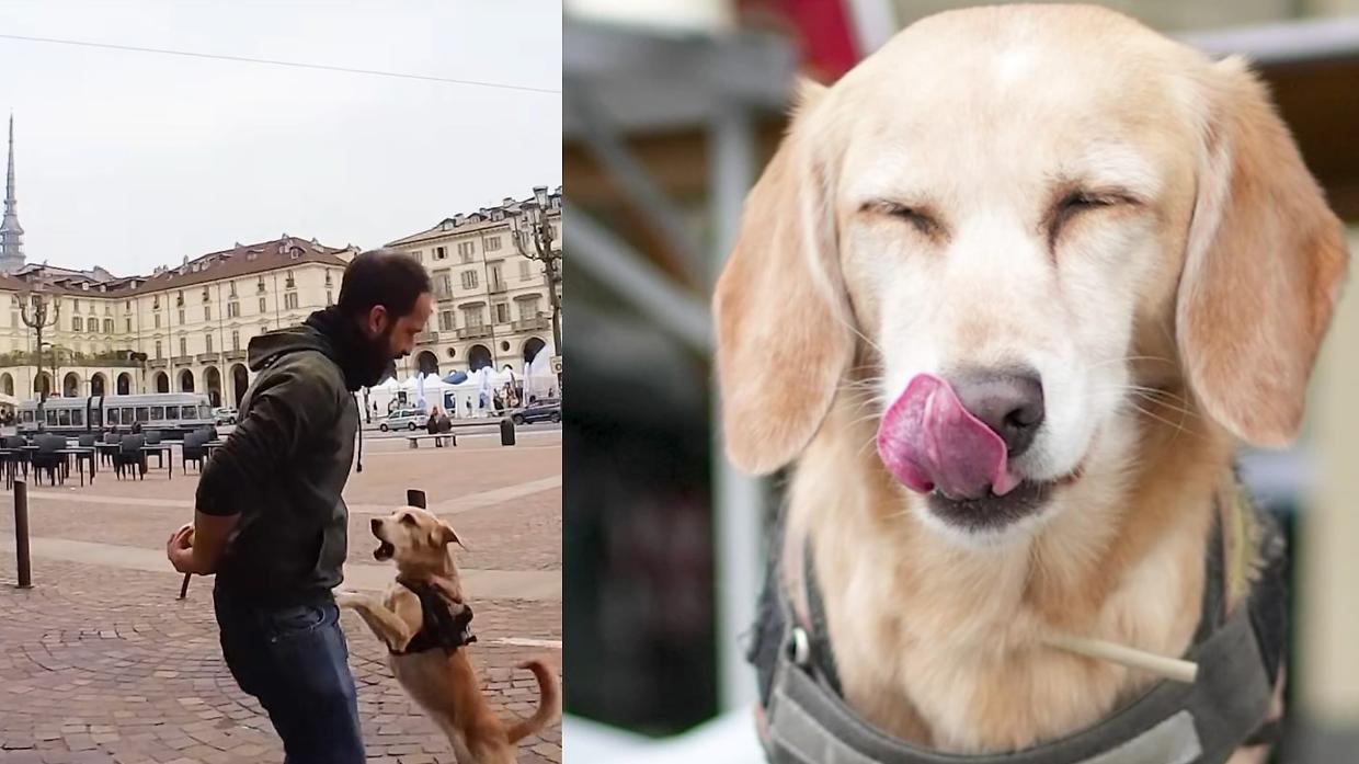 Valerio Minato e Polenta: il fotografo torinese racconta la sua compagna di avventure a Doggodaily
