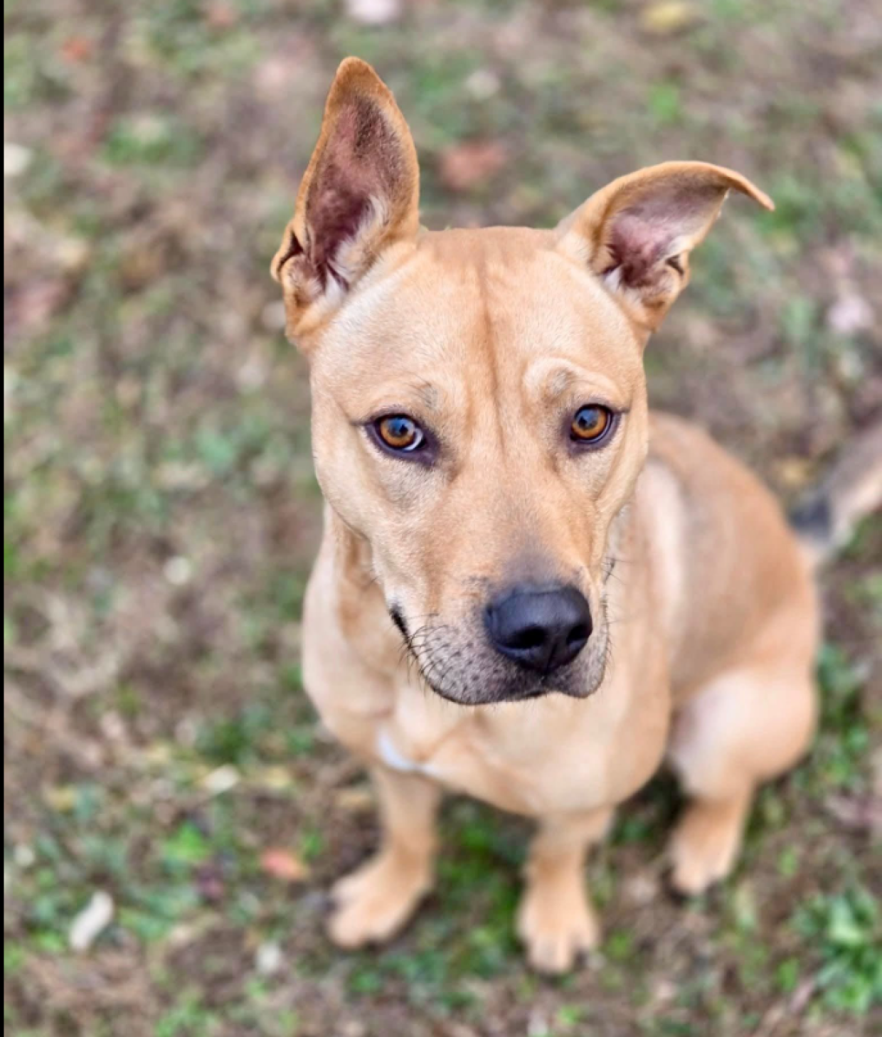 E' nata la Vigilia di Natale di due anni fa: il suo desiderio &egrave; sempre lo stesso, una famiglia