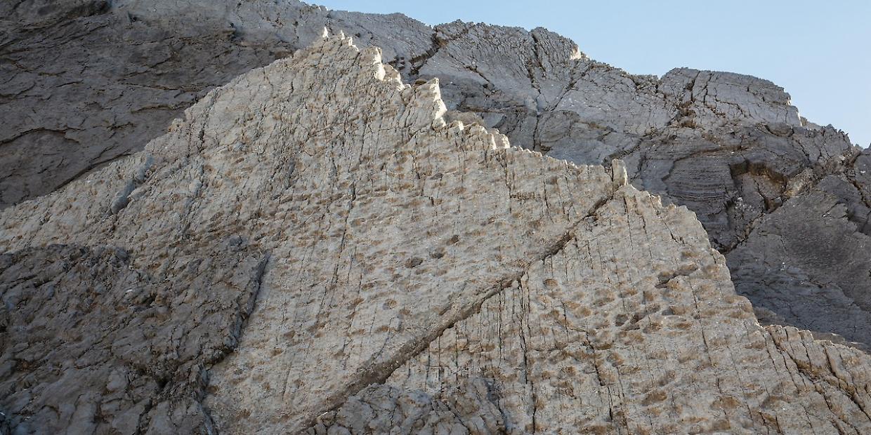 C&rsquo;&egrave; una &ldquo;valle dei dinosauri&rdquo; sulle Alpi: migliaia di impronte scoperte nel Parco dello Stelvio