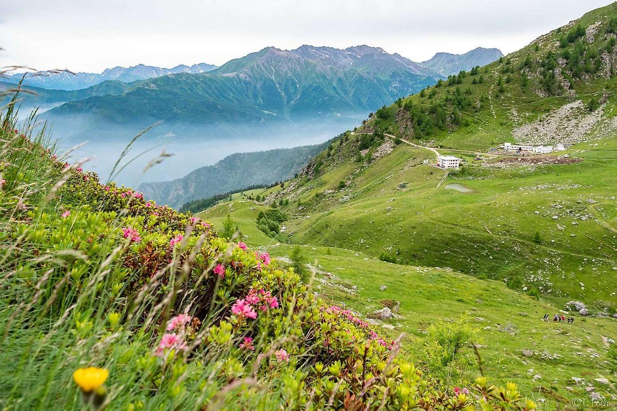 Legge sulla montagna, il Piemonte limita l&rsquo;impatto della riforma nazionale