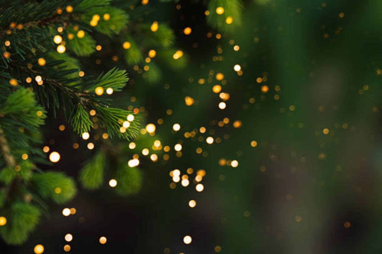 Lanzo, nasce No&euml;lFest